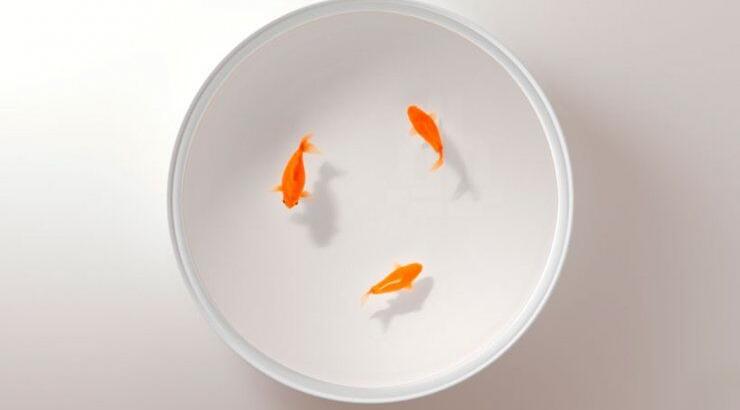 Τραπέζι με βάση σαν ενυδρείο