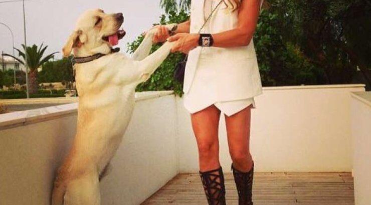 Χριστόφορος- Ramona Τορναρίτη: Τρόμαξαν όταν έχασαν τον σκύλο τους