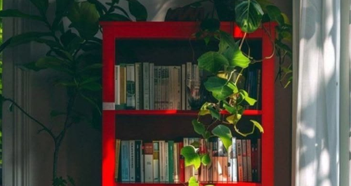 Πότε είναι καλή ιδέα μια κόκκινη βιβλιοθήκη;
