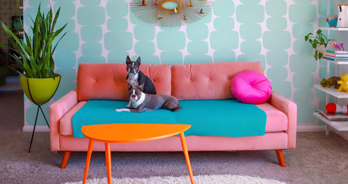 Ένα σπίτι 66 χρόνων μεταμορφώθηκε σε μια… ρετρό πανδαισία