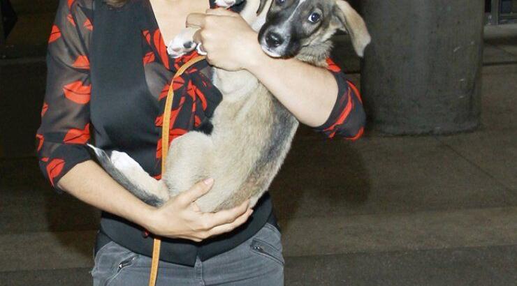 Salma Hayek: Είναι φιλόζωη και το δείχνει [εικόνες]