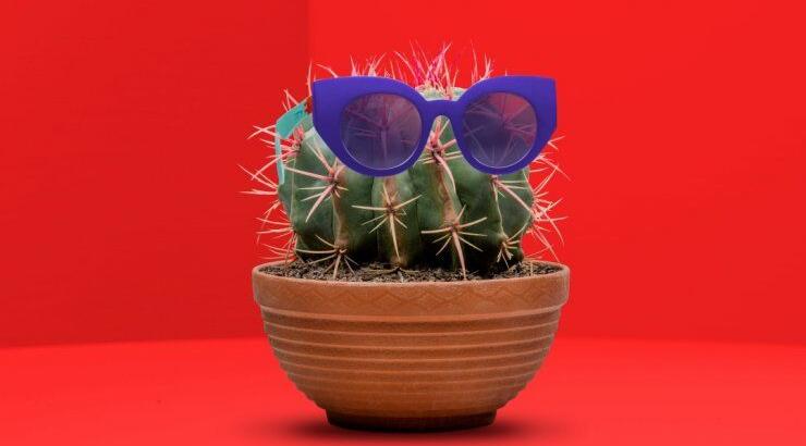 Swatch the Eyes: Τα γυαλιά ηλίου που αλλάζουν στιλ [εικόνες]