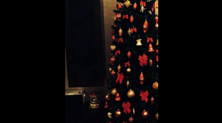 Ποιο διάσημο ζευγάρι της στόλισε το Χριστουγεννιάτικό του δέντρο;