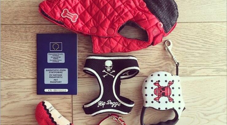 Όλα έτοιμα για το ταξίδι επώνυμης Κύπριας και του κατοικίδιου της