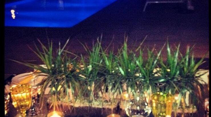 Ποια γνωστή socialite δημιουργήσε αυτή την ατμόσφαιρα στο σπίτι της στον Πρωταρά;