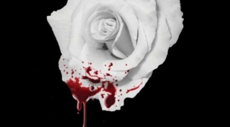 "Φόνος 5 αστέρων" η νέα λογοτεχνική πρόταση της Έλενας Ακρίτα