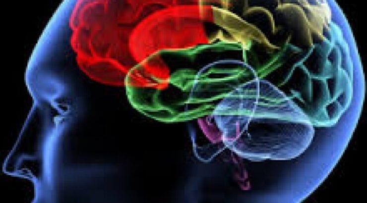 Αυτός είναι ο εξυπνότερος Κύπριος στον κόσμο