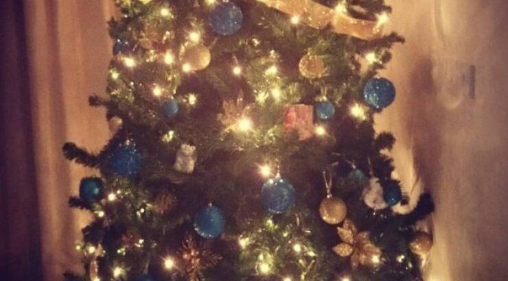 Αυτό είναι το χριστουγεννιάτικο δέντρο αγαπημένης Κύπριας ηθοποιού 