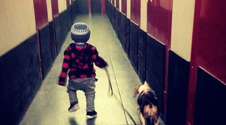 Ποιας Κύπριας το μωρό βγάζει βόλτα το σκύλο;