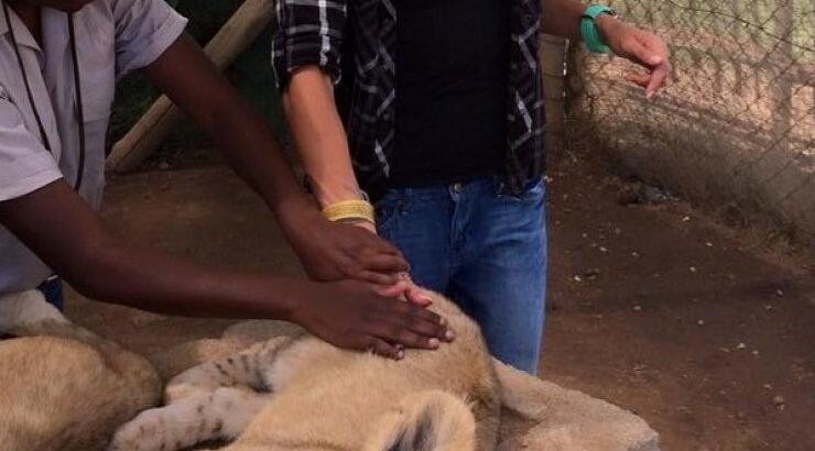 Γνωστή Κύπρια: Το ταξίδι στην Αφρική και οι selfie με τίγρεις και λιοντάρια