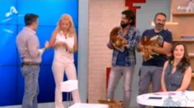  Γέμισε το πλατό κότες και η Μενεγάκη ήθελε να βάλει τα κλάματα [βίντεο]