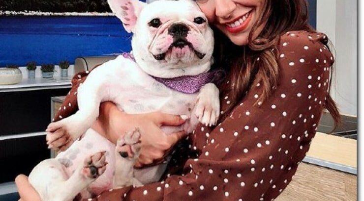 Νικολέττα Ράλλη: Ξέσπασε σε κλάματα και αποχώρησε χωρίς να χαιρετήσει του τηλεθεατές