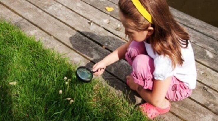 Δάγκωμα από φίδι: τι πρέπει να προσέξεις!