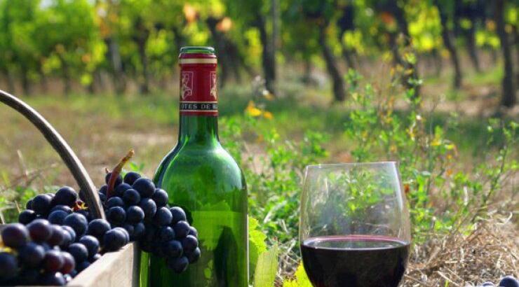 Πάμε διήμερη εκδρομή γευσιγνωσίας στην Πάφο