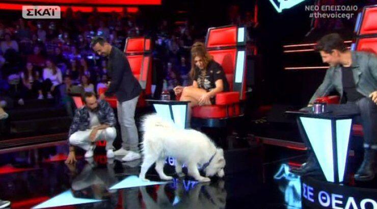 Δεν θα πιστεύετε ποιος εισέβαλε στο πλατό του "The Voice" στο αποψινό επεισόδιο