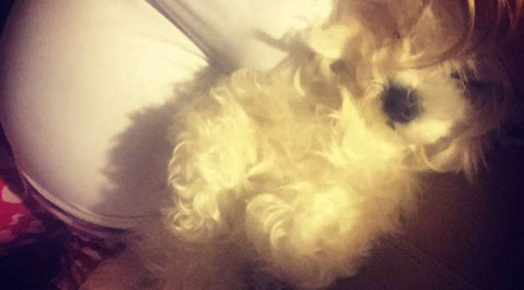 Η σύντροφος επώνυμου Έλληνα μπήκε στον έβδομο μήνα και μας δείχνει τη φουσκωμένη της κοιλίτσα!