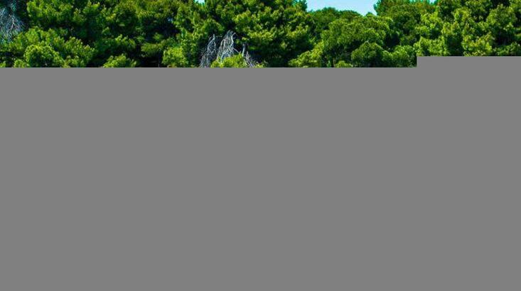 Θέλεις να κάνεις δωρεάν καλοκαιρινές διακοπές στην Σκιάθο;