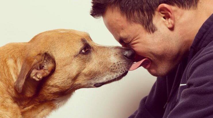 Επτά ασθένειες που μπορεί να κολλήσετε από τα κατοικίδια