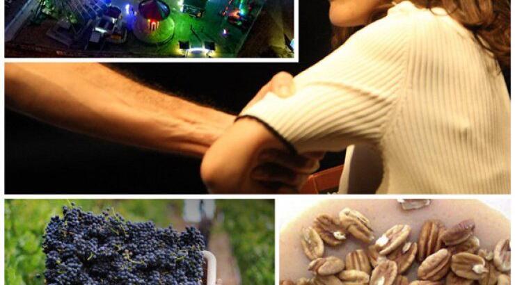 Top 13 πράγματα για να κάνεις τον Νοέμβριο