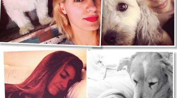 Επώνυμες Κύπριες με τα τετράποδα τους