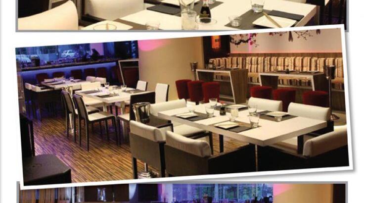 H νέα άφιξη είναι πολύ... Yumi