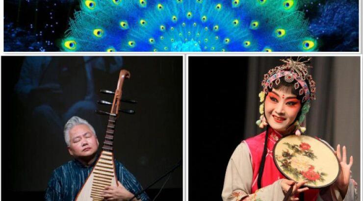 Ο πλούτος της κινεζικής κουλτούρας μέσα από μία εκδήλωση στη Λευκωσία