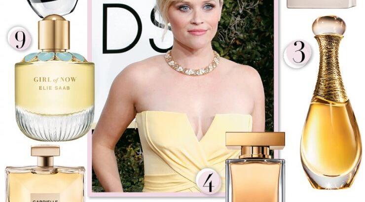 Οι νέες μυρωδιές που θα μας συντροφεύουν τον φθινόπωρο