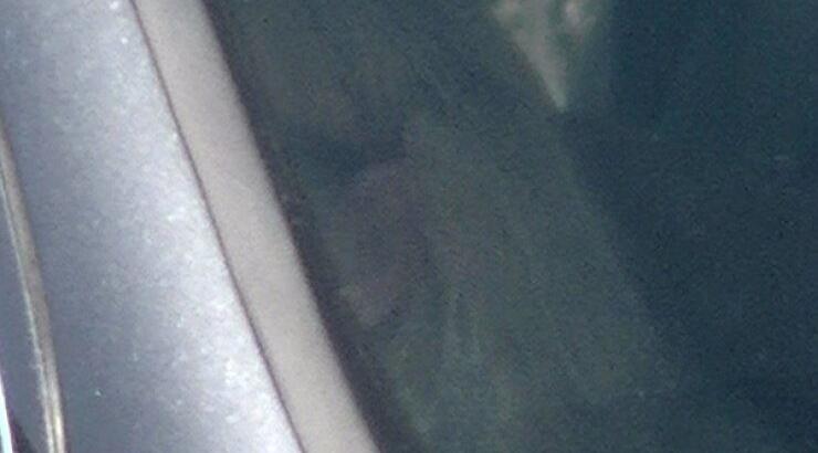 Ολοκληρώνεται ως γυναίκα διάσημος άντρας του Hollywood [εικόνες]