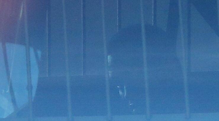 Συνελήφθη διάσημος ράπερ [εικόνες]