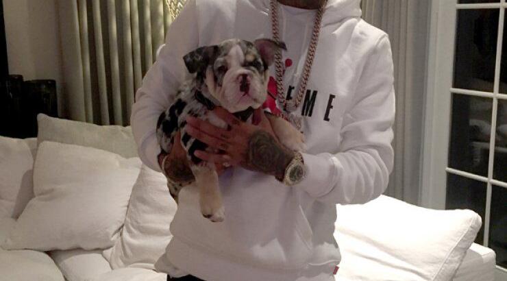 Kylie Jenner: Αγόρασε σκύλο αξίας 40,000 δολαρίων [εικόνες]