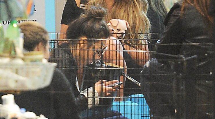 Νέο μέλος στην οικογένεια διάσημου ζευγαριού [εικόνες]