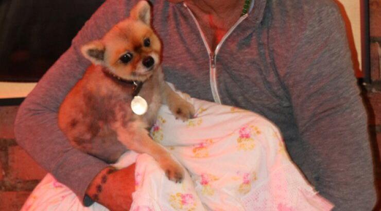 Απίστευτο κι όμως αληθινό! Διάσημος ηθοποιός κάθεται για δείπνο με...το σκύλο του [εικόνες]