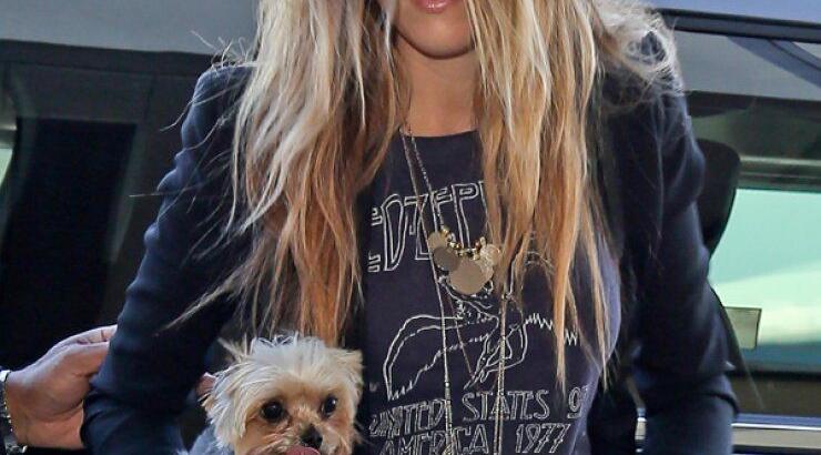 Αυτή είναι η μεγάλη αγάπη του Johnny Depp και της Amber Heard [εικόνες]