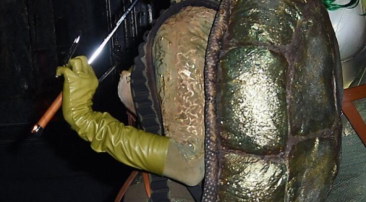 Η Rihanna το χελωνονιντζάκι [εικόνες]