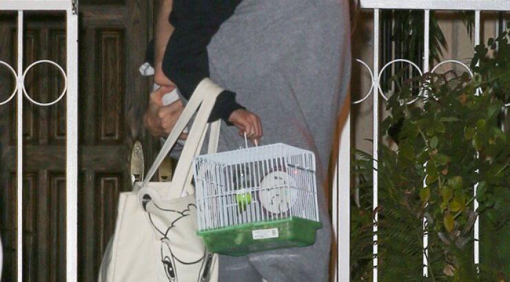 Angelina Jolie: Το τρυφερό φιλί στην κόρη της [εικόνες]