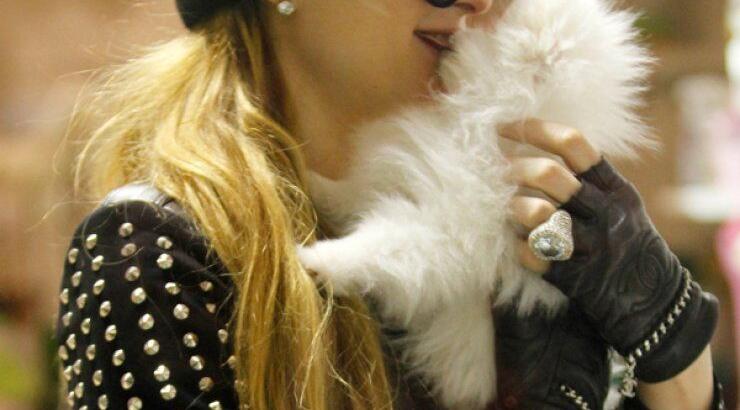 Paris Hilton: Τα φιλιά στο στόμα σε ποιον τα δίνει; [εικόνες]