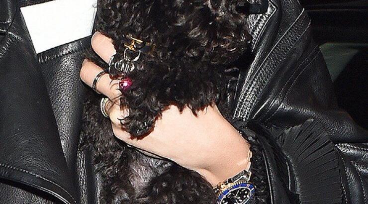 Η Rita Ora απέκτησε κουταβάκι [εικόνες]