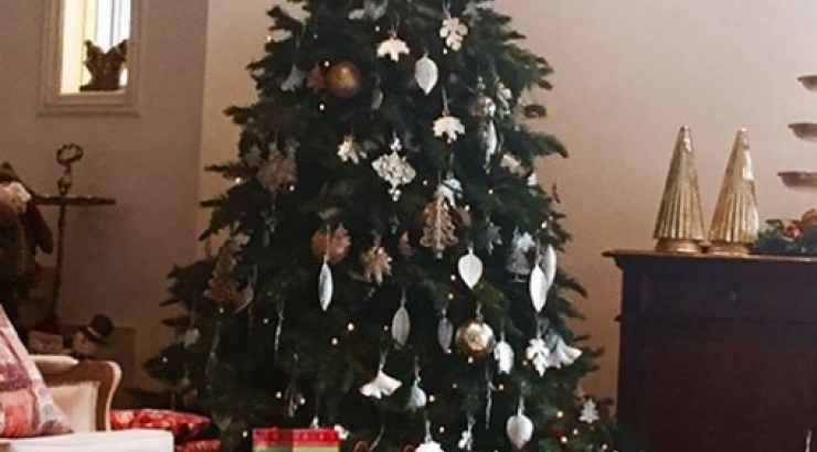 Το χριστουγεννιάτικο δέντρο με τα δώρα επώνυμης Κύπριας!