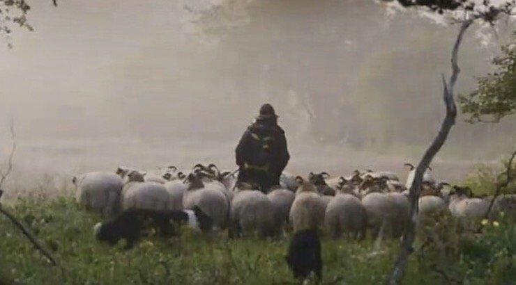 Φάρμα: Δεν θα πιστέψεις ποιος Έλληνας παρουσιαστής μόλις υπέγραψε για την παρουσίαση [εικόνα]