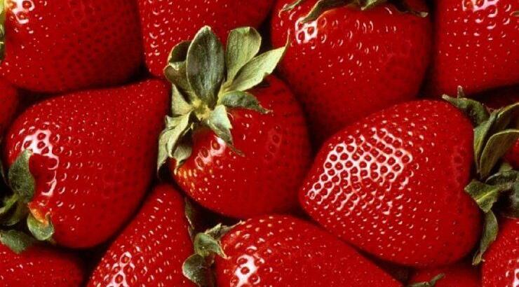 Ποιο φρούτο μας προστατεύει από τον ήλιο; 