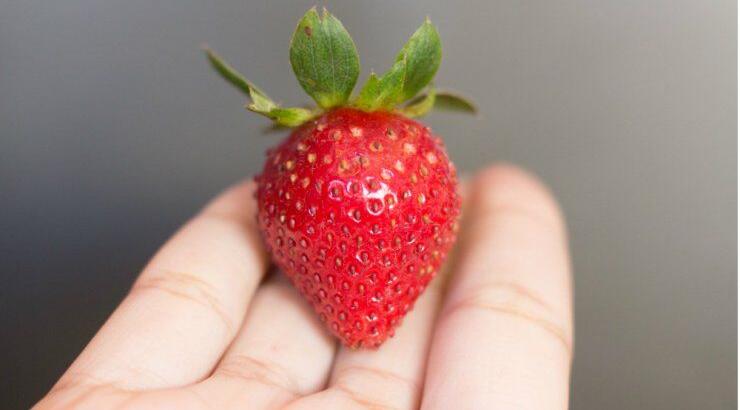 Φράουλα: Οι ευεργετικές της ιδιότητες