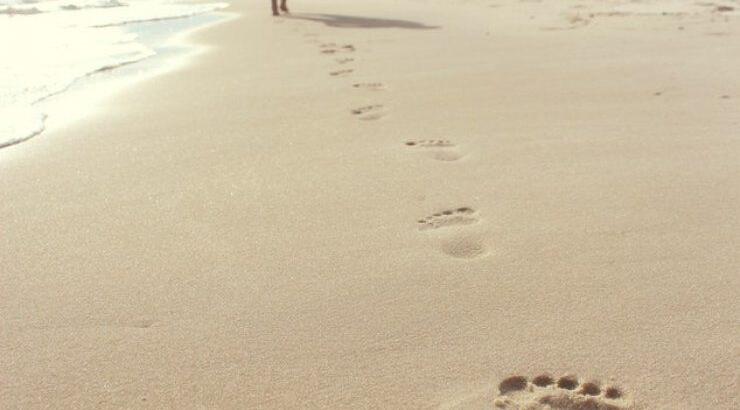 Πόσες θερμίδες χάνετε με το περπάτημα;