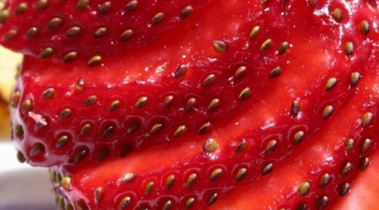 Το Μάιο η Δερύνεια θα γεμίσει φράουλες!