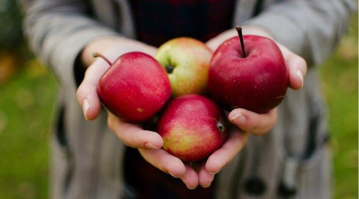 "Το χτυπημένο μήλο": Το κόλπο που σκέφτηκε μια δασκάλα για να διδάξει τον πόνο που προκαλεί το bullying