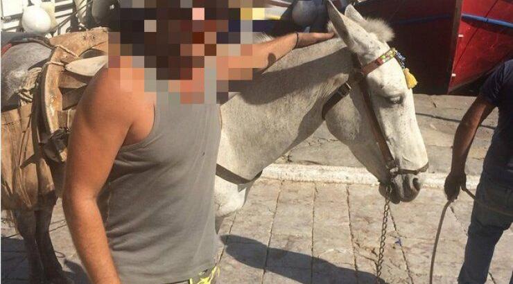 Ποιoς Κύπριος ηθοποιός αποκάλεσε τον εαυτό του "μουλάρι";