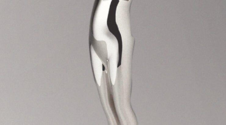 Oι υποψήφιοι των CFDA Awards 2015 