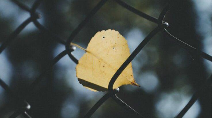 Τι προβλέπουν τα ζώδια για την Τρίτη 6 Νοεμβρίου 2018