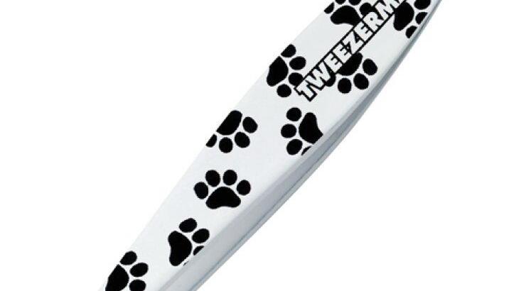 Ένα all fashion τσιμπιδάκι!