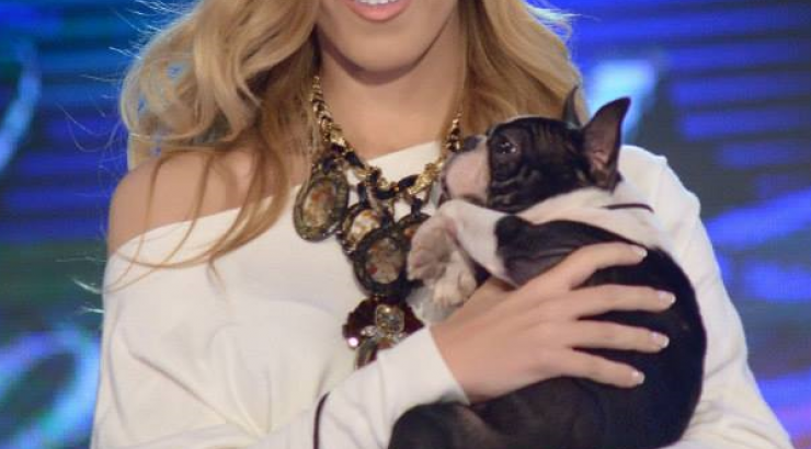 Feel Fantastic Star Κύπρος 2014: Η αποχώρηση, τα κλάματα και οι βρισιές on stage [βίντεο]