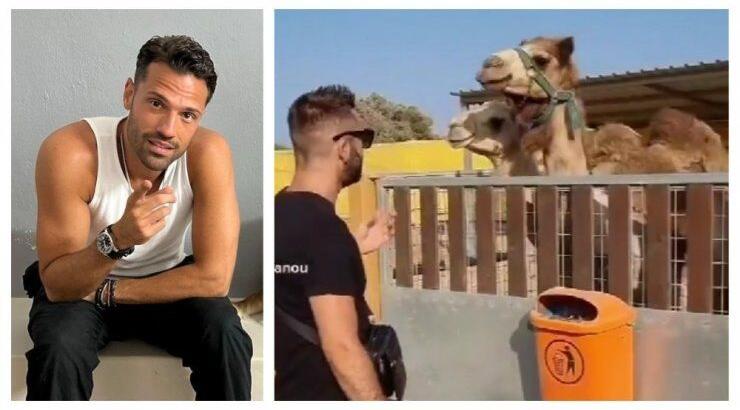 Κύπριος ερμηνεύει τραγούδι του Κωνσταντίνου Αργυρού σε καμήλες και αυτές "χορεύουν" [βίντεο]